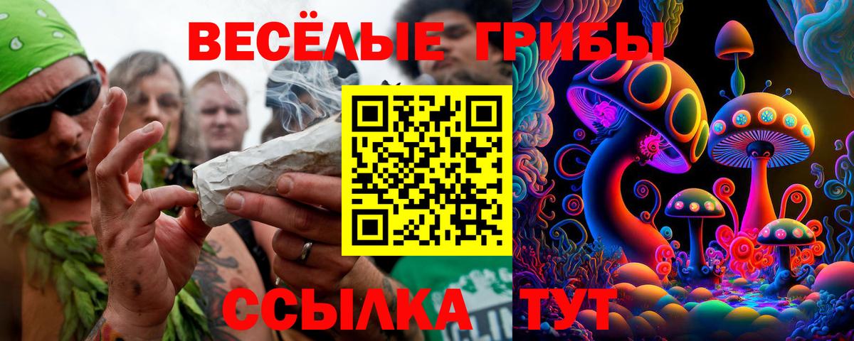 Галлюциногенные грибы мухоморы Тавда